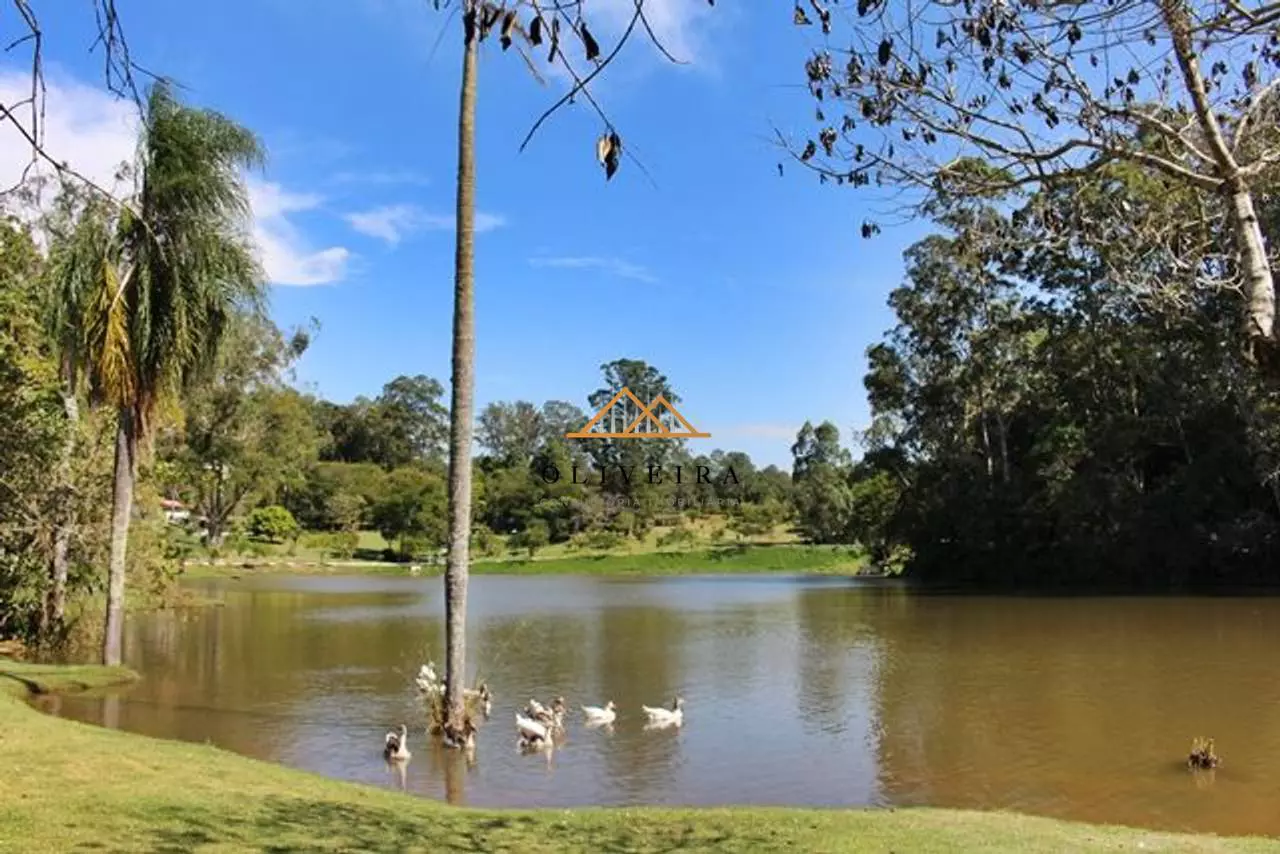Lago rodeado pela natureza